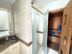 Henry Park (D10), Detached #475452901